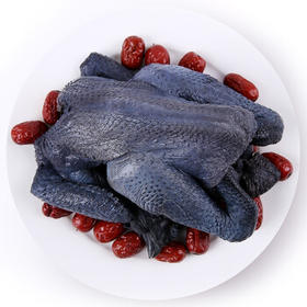 苏食冻乌骨鸡（1.0-1.3kg）【乌鸡配黄芪党参绝配】【0514】