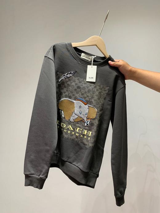 点此购买 Coach 蔻驰重工迪斯尼小飞象刺绣卫衣 曾123791 商品图3