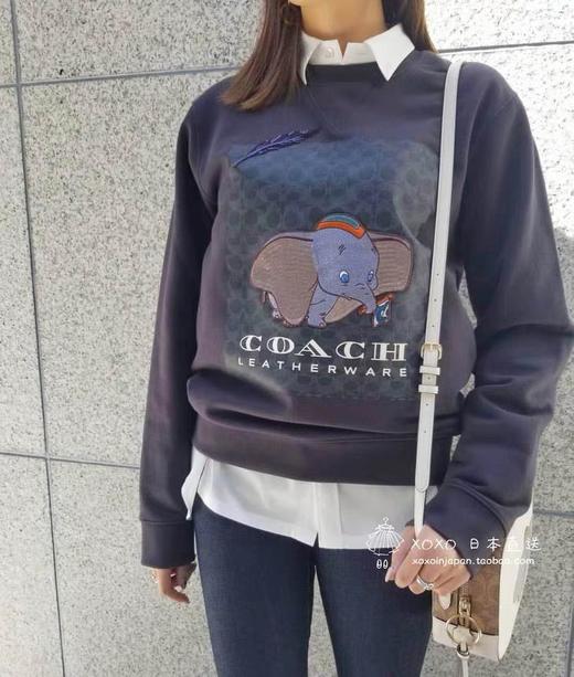 点此购买 Coach 蔻驰重工迪斯尼小飞象刺绣卫衣 曾123791 商品图0
