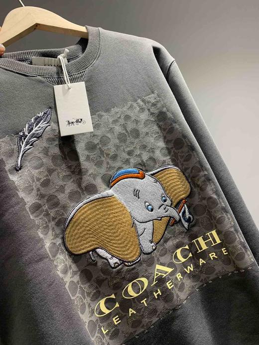 点此购买 Coach 蔻驰重工迪斯尼小飞象刺绣卫衣 曾123791 商品图10