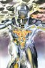 变体 惊世奇人 Marvels Annotated 商品缩略图2