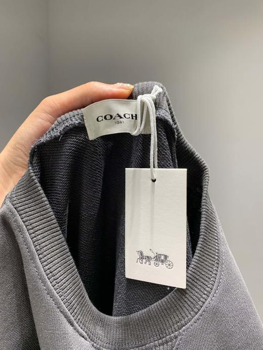 点此购买 Coach 蔻驰重工迪斯尼小飞象刺绣卫衣 曾123791 商品图9