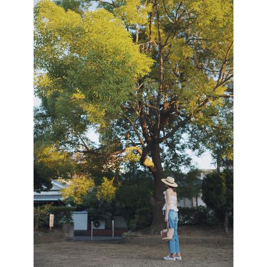my top 商品图3