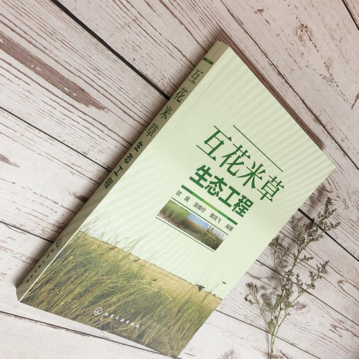 互花米草生态工程 商品图3