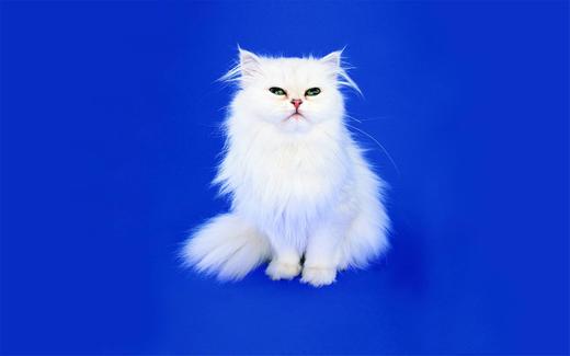 测试导入屏蔽-付款扣库存 商品图0