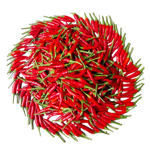小米椒300g/份【团购价5.8元/份】 商品图1