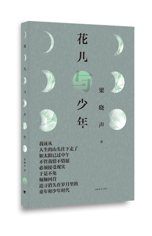 花儿与少年 商品图0