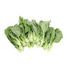 小白菜500g±50g【团购价5.88元/份】 商品缩略图3