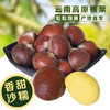 云南新鲜水果板栗3斤装  带壳生板栗 粒粒饱满 肉厚糯甜 商品缩略图0