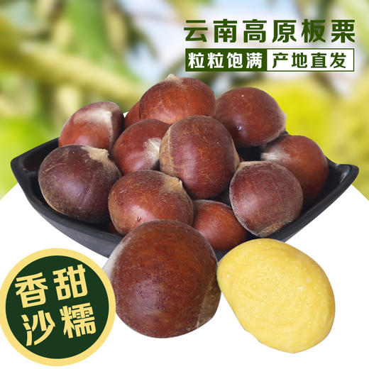 云南新鲜水果板栗3斤装  带壳生板栗 粒粒饱满 肉厚糯甜 商品图0