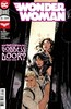 神奇女侠 主刊 Wonder Woman V5（2016）068-083 普封 商品缩略图13