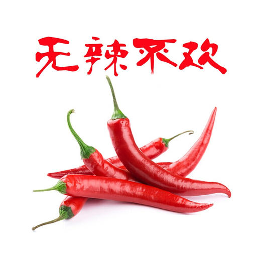 小米椒300g/份【团购价5.8元/份】 商品图3