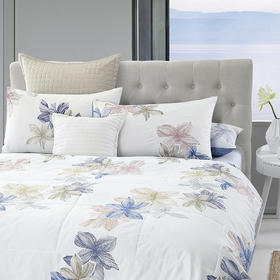 HBXW-030   WIND ROSES全棉舒适被