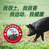 苏食淮黑猪超值礼盒4.76kg包装【0510】 商品缩略图0