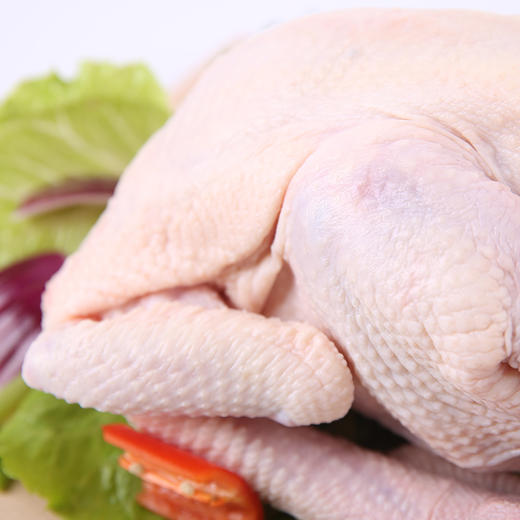 镇江苏食冰鲜老母鸡（1.5-1.6kg/只） 商品图0