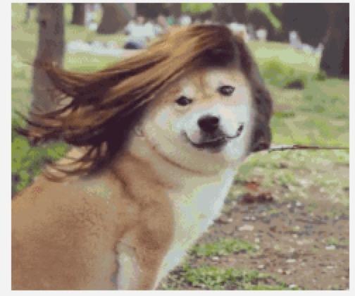 包邮折扣积分倍率 商品图0