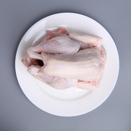 杭州苏州冰鲜童子鸡1.1-1.4kg/只 商品图0