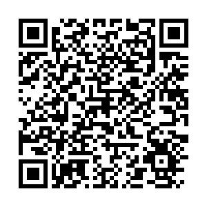 zhangzhijun1 商品图0