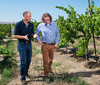 华盛顿英雄薏丝琳白葡萄酒  Chateau Ste. Michelle & Dr. Loosen Eroica Riesling, Columbia Valley, USA 商品缩略图4