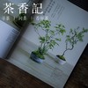 茶香记 《玩苔藓》 日本NHK  六位日本园艺名师执笔 苔藓制作 苔藓庭院 河南科技技术出版社 商品缩略图2
