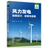 风力发电系统设计、安装与运维 商品缩略图0
