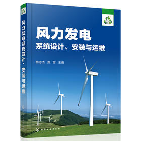 风力发电系统设计、安装与运维