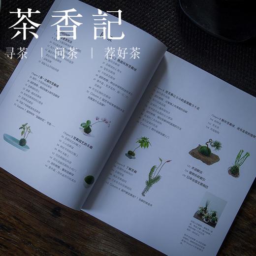 茶香记 《玩苔藓》 日本NHK  六位日本园艺名师执笔 苔藓制作 苔藓庭院 河南科技技术出版社 商品图3