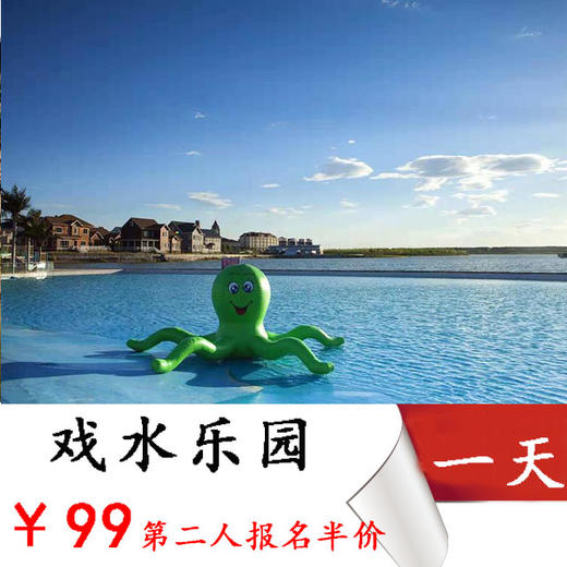 活动首发第二人半价【戏水乐园1日】亲子夏日，炫酷水上乐园，陪孩子一起放暑假过周末 商品图0
