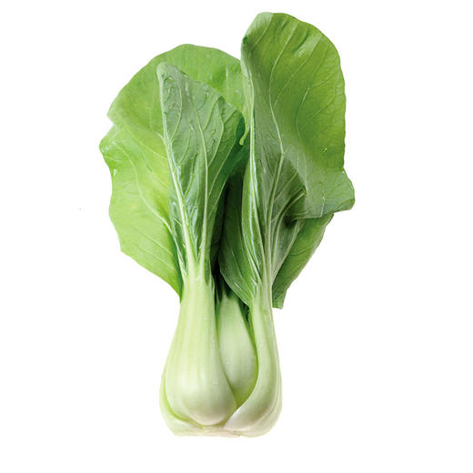 上海青500g±50g【团购价4.6元/份】 商品图3