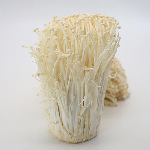 金针菇200g±20g【团购价3.28元/份】 商品图2
