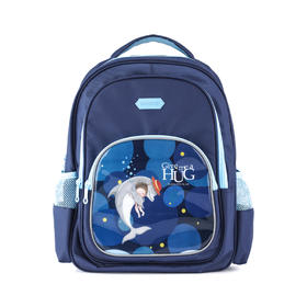 TY0*78002  美旅背包