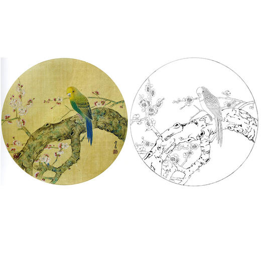 龚雪青花鸟白描底稿-虎皮鹦鹉小品-多种白描尺寸可选-XQ39 商品图0
