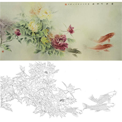 龚雪青横幅工笔花鸟白描底稿-牡丹鲤鱼《富贵有余》-多种白描尺寸可选-XQ67 商品图0