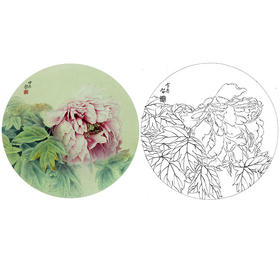龚雪青花鸟白描底稿-牡丹小品-多种白描尺寸可选-XQ18