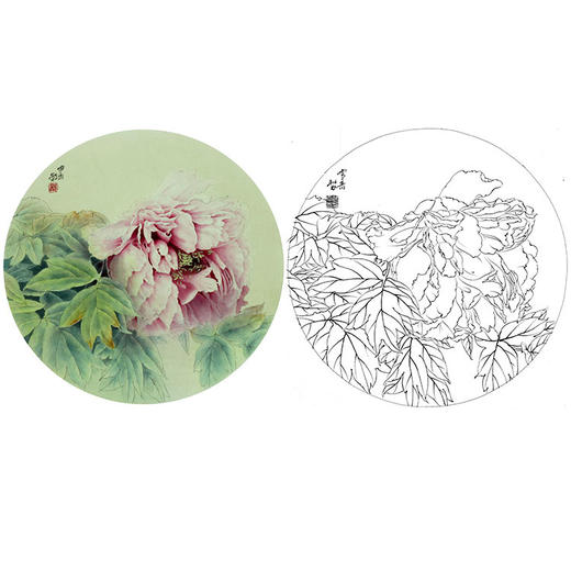 龚雪青花鸟白描底稿-牡丹小品-多种白描尺寸可选-XQ18 商品图0