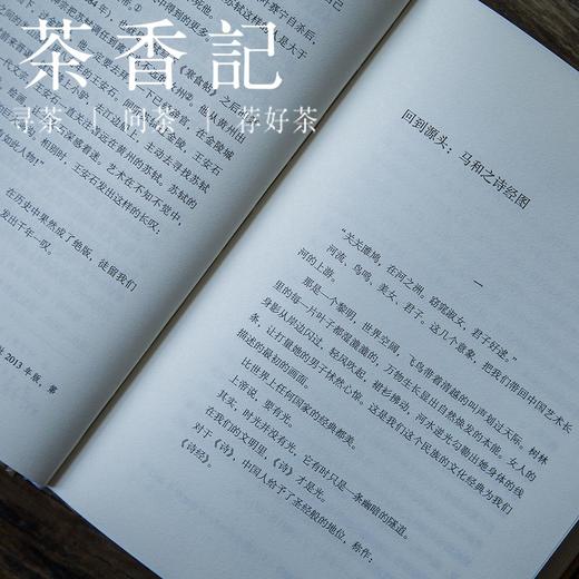 茶香记《纸上的故宫》 祝勇著 朱自清散文奖得主 长江文艺出版社 名家散文 历史文化 商品图3