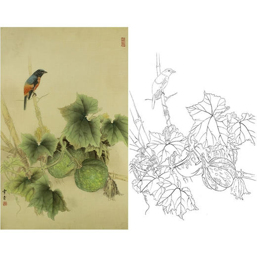 龚雪青竖幅工笔花鸟白描底稿-瓜园-南瓜小鸟-多种白描尺寸可选-XQ28 商品图0