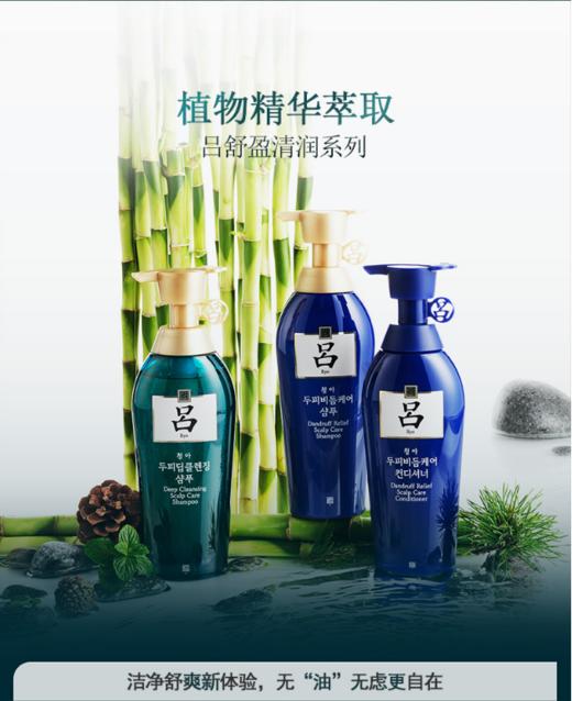 吕舒盈清润净澈控油洗发水500ml 商品图2