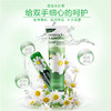 德国小甘菊修护唇膏新经典护手霜4.8g+20ml 商品缩略图0