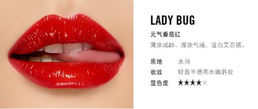 MAC魅可柔感哑光唇膏 #02.603 DIVA     # 17.607LADY DANGER  #01.602  CHILI   #510  LADY BUG 商品图4