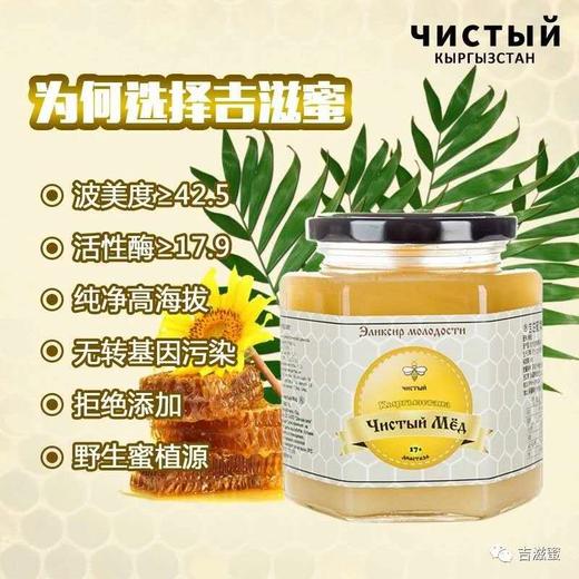 吉尔吉斯斯坦天然高山蜂蜜  500g/瓶 商品图3