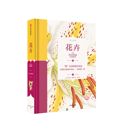 纸上景观系列 经典馆藏手绘标本插图 中信出版社图书 正版书籍 商品图9