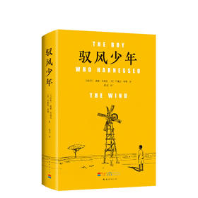 驭风少年