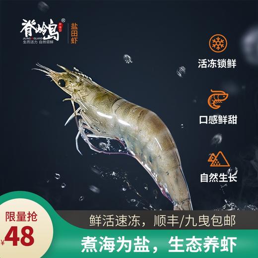 出口品质 盐田虾鲜活速冻虾子 冰鲜虾活虾海鲜速冻虾低脂虾甜虾230g 商品图3
