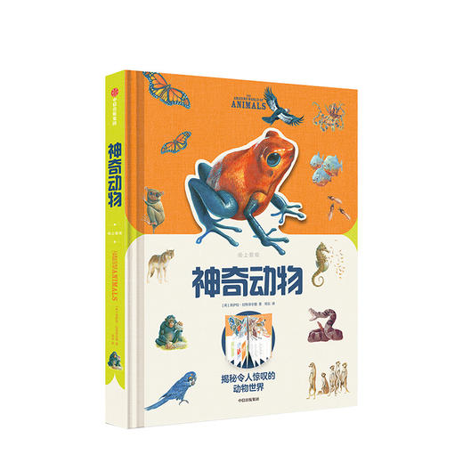 纸上景观系列 经典馆藏手绘标本插图 中信出版社图书 正版书籍 商品图12