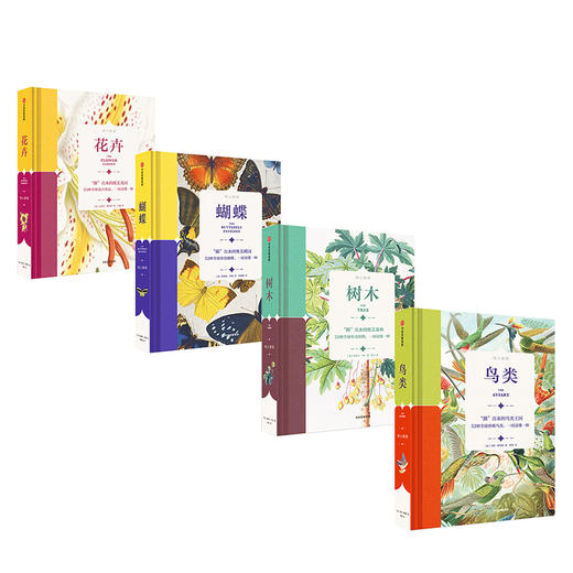 纸上景观系列 经典馆藏手绘标本插图 中信出版社图书 正版书籍 商品图3