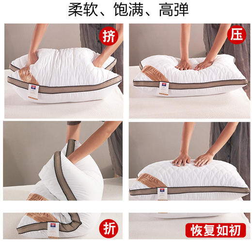 BL-立体绗缝羽丝绒枕芯绗缝羽丝绒枕芯 商品图1