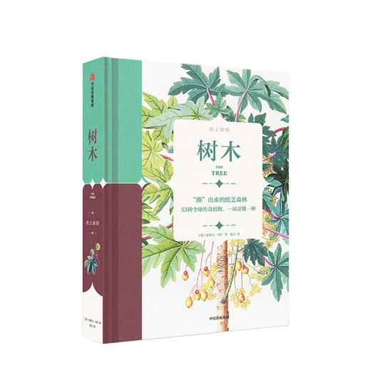 纸上景观系列 经典馆藏手绘标本插图 中信出版社图书 正版书籍 商品图7