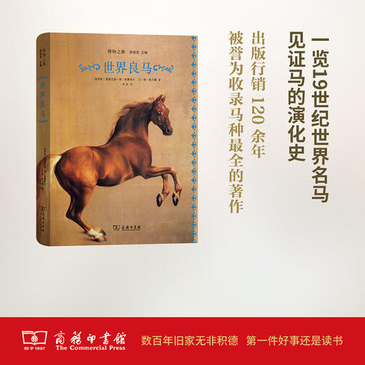 世界良马 商品图0