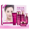 OB-AL6912一枝春墨菊巨补水五件套装送6片墨菊补水面膜TZW 商品缩略图0